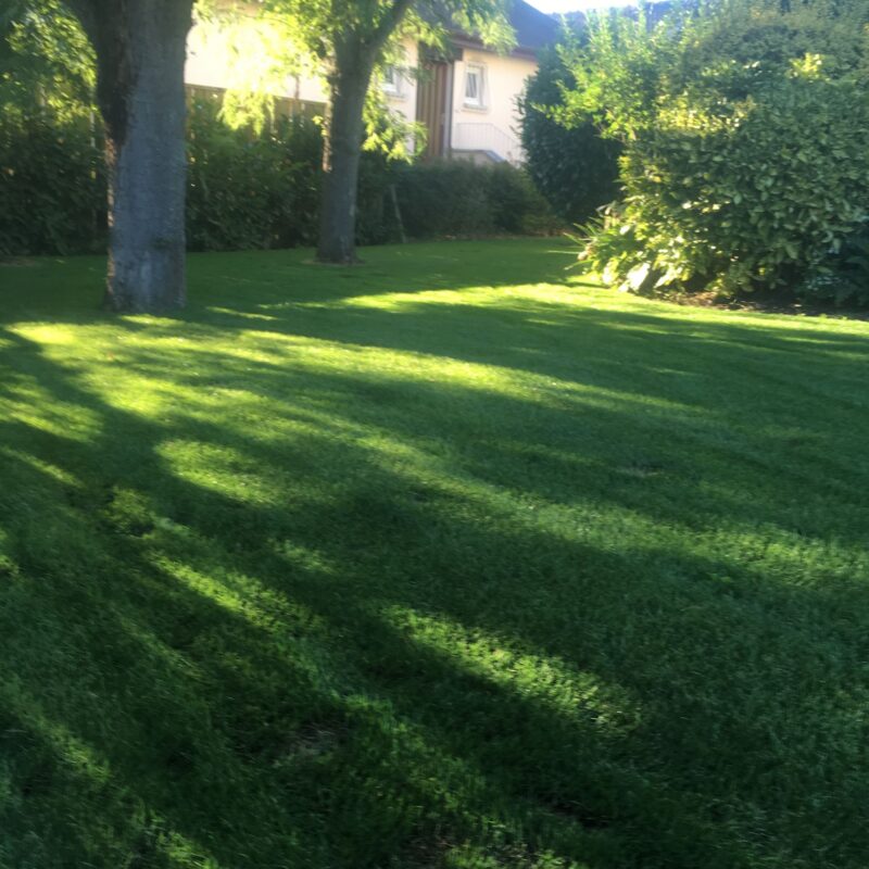 Des paysagistes pour entretenir votre jardin et vos espaces verts autour de Mulhouse et Wittenheim Belfort 1