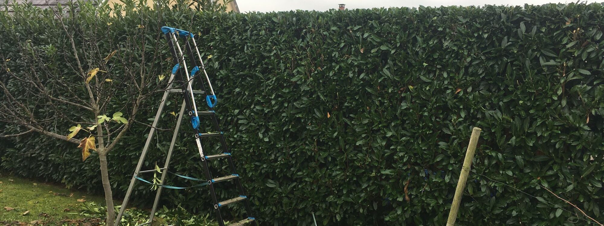 Des paysagistes pour entretenir votre jardin et vos espaces verts autour de Mulhouse et Wittenheim Rixheim