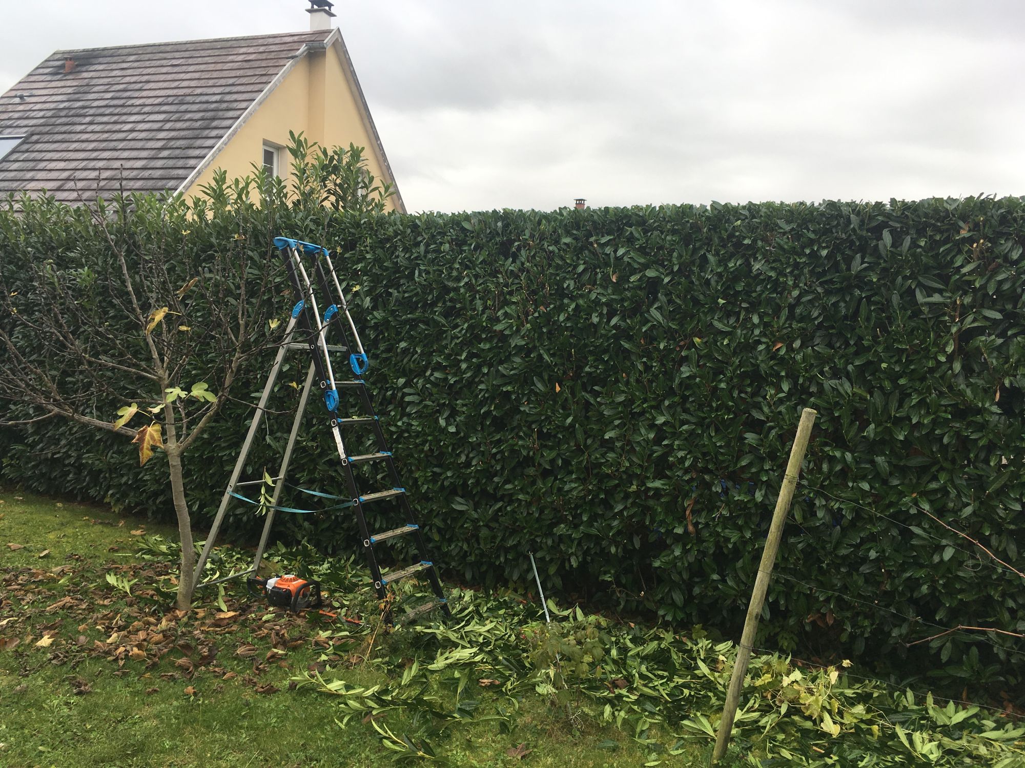 Des paysagistes pour entretenir votre jardin et vos espaces verts autour de Mulhouse et Wittenheim Rixheim