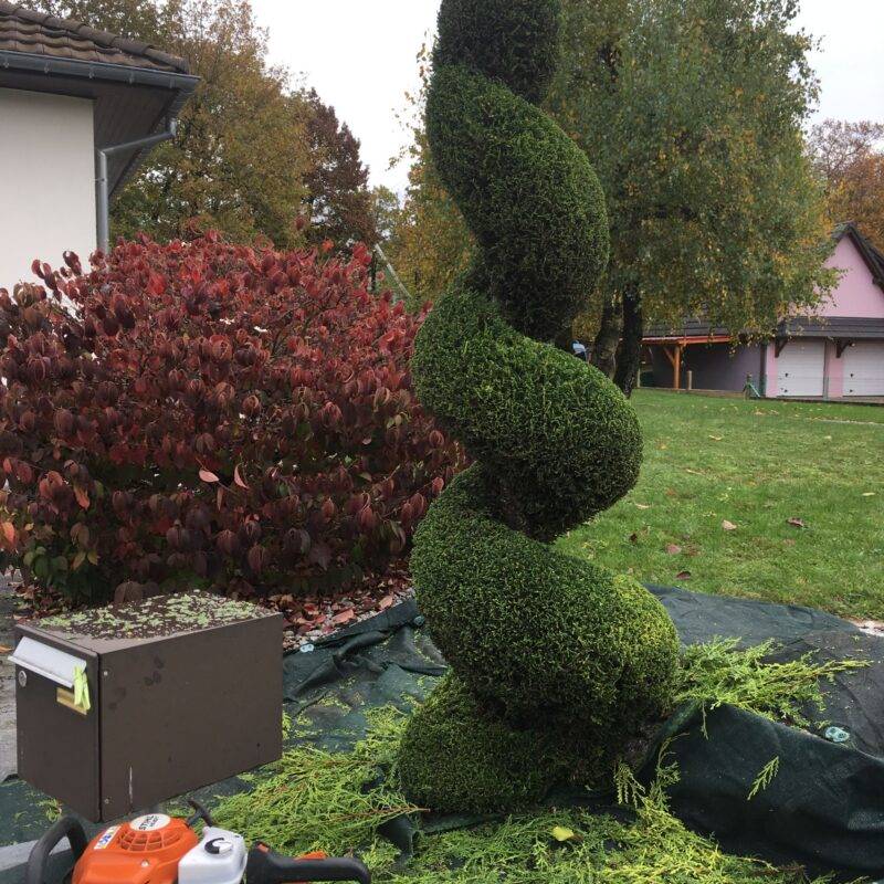 Des paysagistes pour entretenir votre jardin et vos espaces verts autour de Mulhouse et Wittenheim Kingersheim 6