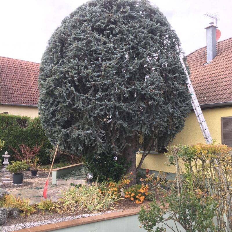 Des paysagistes pour entretenir votre jardin et vos espaces verts autour de Mulhouse et Wittenheim Wittenheim 7