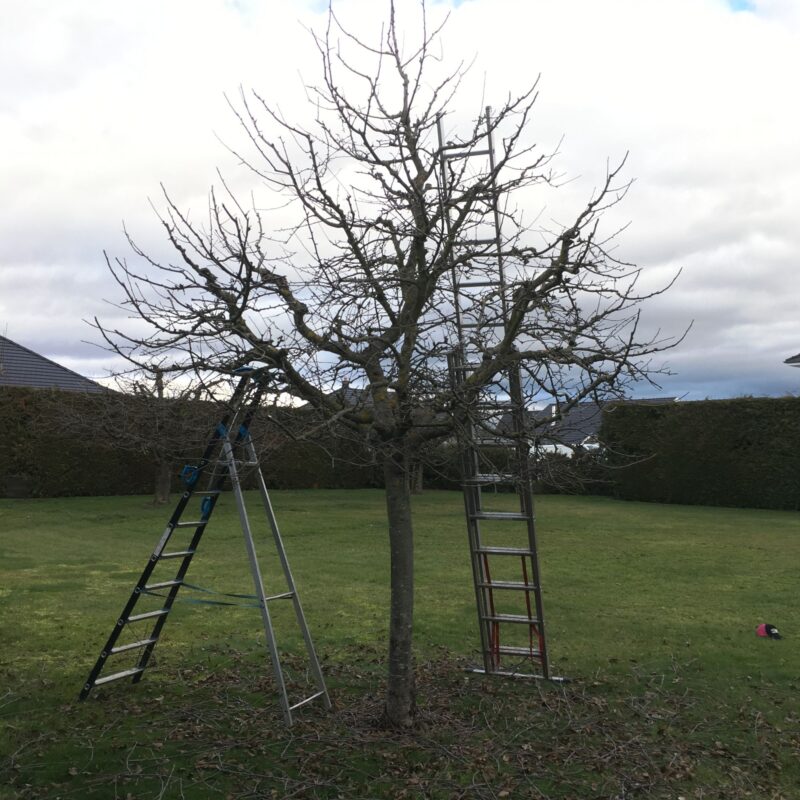 Des paysagistes pour entretenir votre jardin et vos espaces verts autour de Mulhouse et Wittenheim Guebwiller 10