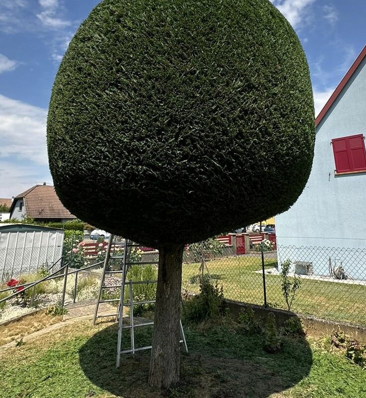 Photos page d&#8217;accueil Riedisheim 1