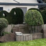 Taille automnale Wittenheim Mulhouse