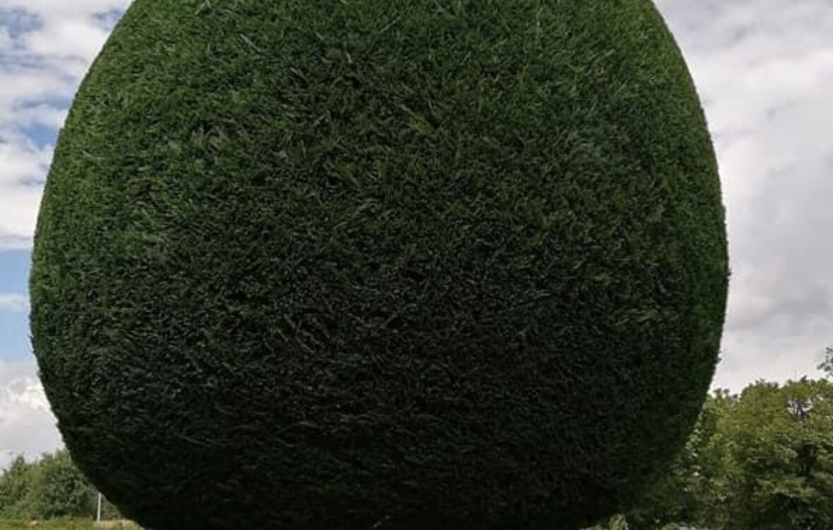 Entretien du jardin Illzach