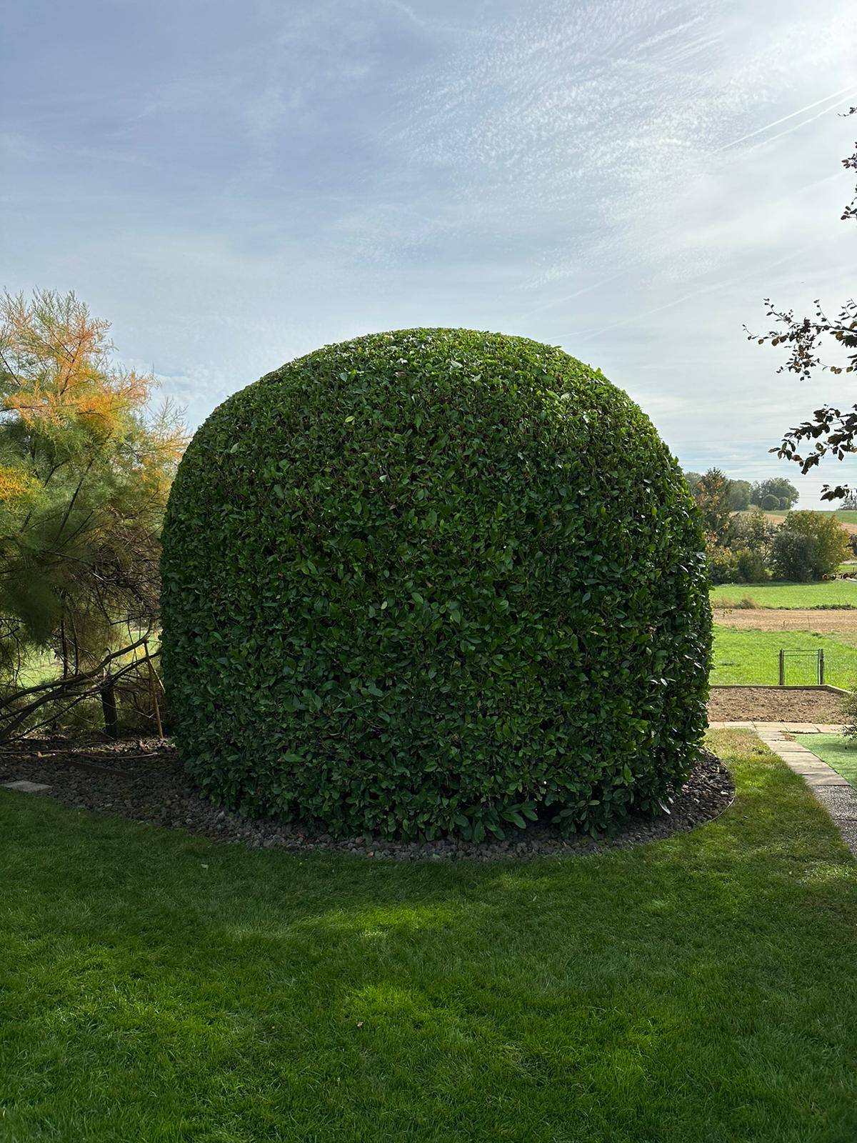 Des paysagistes pour entretenir votre jardin et vos espaces verts autour de Mulhouse et Wittenheim Riedisheim 4