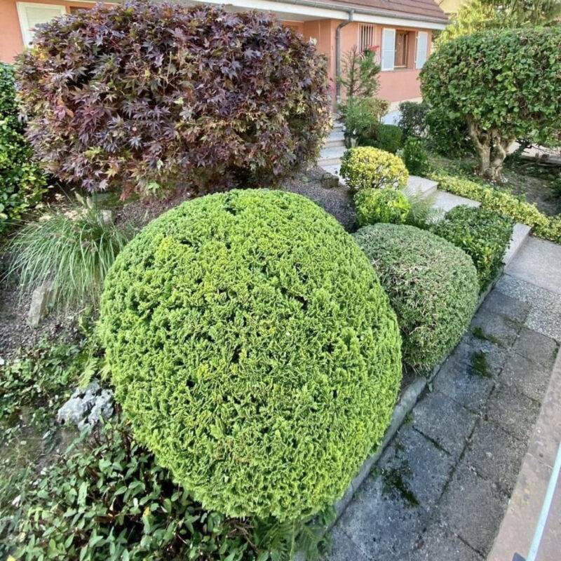Entretien du jardin Kingersheim 1